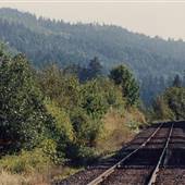 Wilsonville Road Railroad Tracks - Aurora