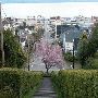 11th Street Stairs