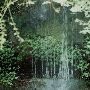 Tippy Canoe Falls