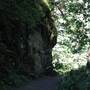 Silver Falls State Park