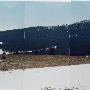 R.Y. Timber Property