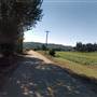 Sauvie Island  - Roads
