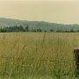 St. Helens Area Forested Hills