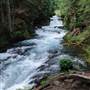 McKenzie River