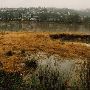 Oaks Park Riverfront
