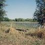 Sauvie Island  - Wetlands