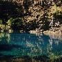 McKenzie River