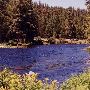 Metolius River