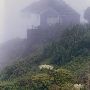 Cape Foulweather