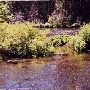 Metolius River