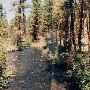 Metolius River