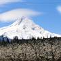 Mount Hood