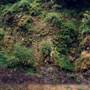 Sandy River