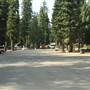 Lake of the Woods Resort