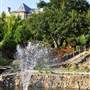 Belle Fiore Winery