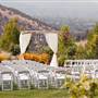 Belle Fiore Winery