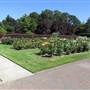 Sara Hite Memorial Rose Garden