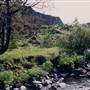 Rowena Pond