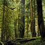 Old Salmon River Trail