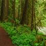 Old Salmon River Trail