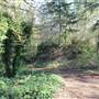 Hoag Property