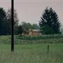 Groveland Road Farms