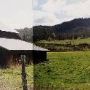 Pioneer Orchard Barn