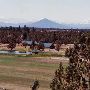 Triple D Ranch