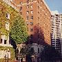 South Park Blocks - Rooftop View