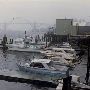 Newport, City of