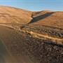Highway 206 Condon-Heppner