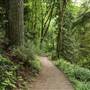 Forest Park