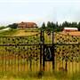 Youngberg Hill Farm B&B