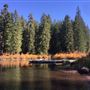 Clear Lake