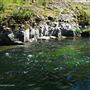 Keenig Creek