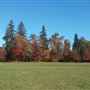 Molalla River State Park