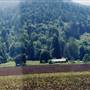 Gale's Creek Road - Forest Grove