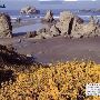Bandon Coast