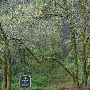 Columbia River Gorge National Scenic Area