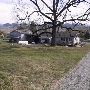 Champoeg Vineyard