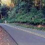 Old Kruger Road - Sherwood