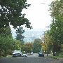 SW Vista