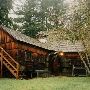 Camp Currie Youth Camp