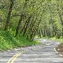 Chamberlain Road
