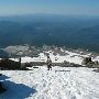 Palmer Snow Field