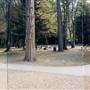 Cook Park