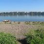 Sauvie Island - Refuge Beach