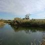 Umatilla National Wildlife Refuge
