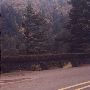 Columbia Gorge fall colors