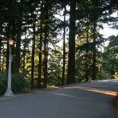 Mt. Tabor Park